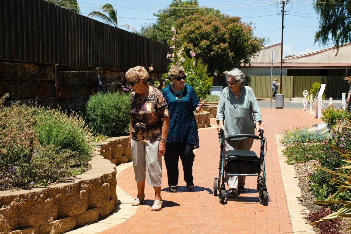 What to Know When Picking a Bariatric Walker Rollator Part 1 - Cart Health