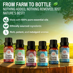 6 Essential Oil Blends Set, 10 ML 6 Essential Oil Blends Set, 10 ML