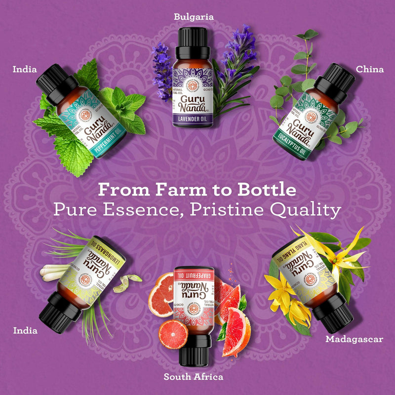6 Essential Oils Single Notes Set, 10 ML 6 Essential Oils Single Notes Set, 10 ML