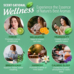 6 Essential Oil Blends Set, 10 ML 6 Essential Oil Blends Set, 10 ML