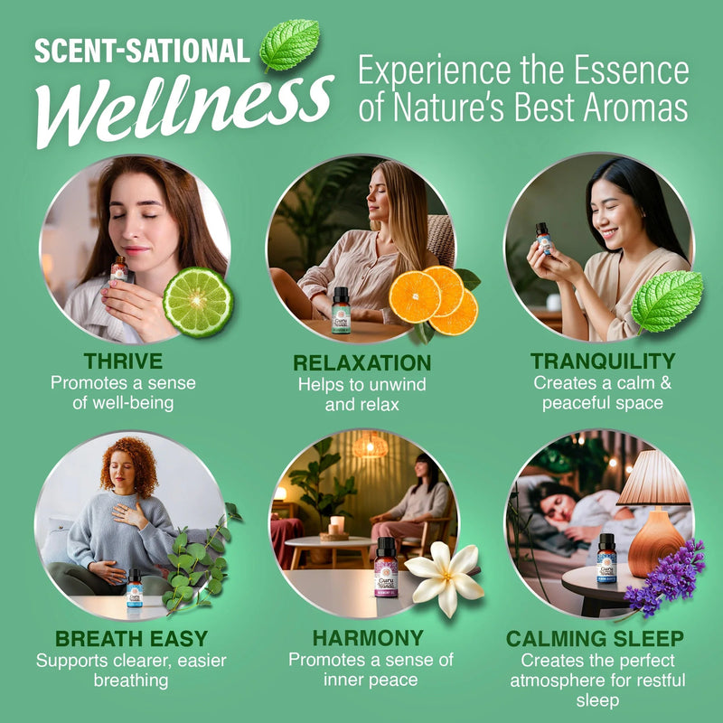 6 Essential Oil Blends Set, 10 ML 6 Essential Oil Blends Set, 10 ML