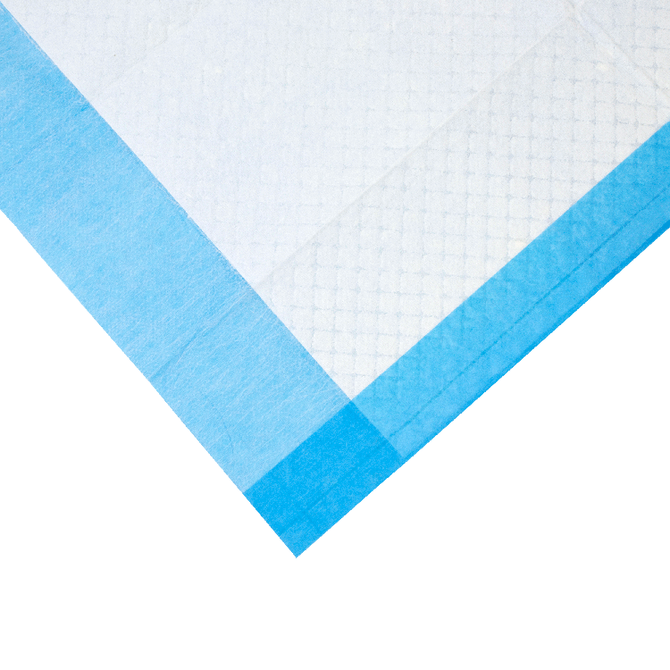 Dynarex Disposable Underpads - Tissue Fill (2 ply), 17" x 24", 100ea/bag, 3bags/case (300 Count) Dynarex Disposable Underpads - Tissue Fill (2 ply), 17" x 24", 100ea/bag, 3bags/case (300 Count)