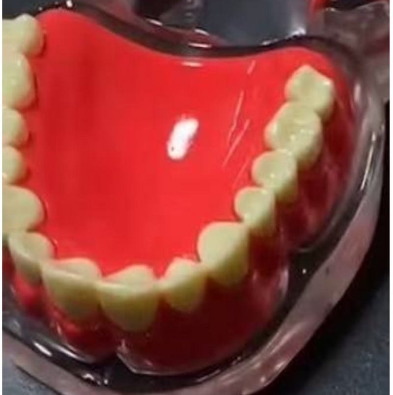 Implant Model Full Mouth Denture Mandible or Maxilla Implant Model Full Mouth Denture Mandible or Maxilla
