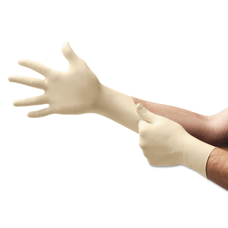 Conform XT Premium Latex Disposable Gloves, Powder-Free, Medium, 100/Box Conform XT Premium Latex Disposable Gloves, Powder-Free, Medium, 100/Box
