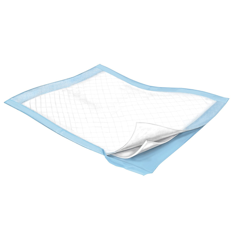 Disposable Underpad Simplicity™ Basic 17 X 24 Inch Fluff Light Absorbency (300 Count) Disposable Underpad Simplicity™ Basic 17 X 24 Inch Fluff Light Absorbency (300 Count)