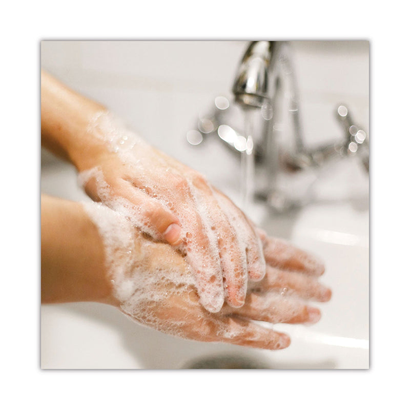 Dial Basics MP Free Liquid Hand Soap, Unscented, 15 oz Refill Bottle, 6/Carton Dial Basics MP Free Liquid Hand Soap, Unscented, 15 oz Refill Bottle, 6/Carton