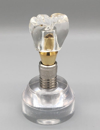 Double Teeth Model (Copy) Double Teeth Model (Copy)