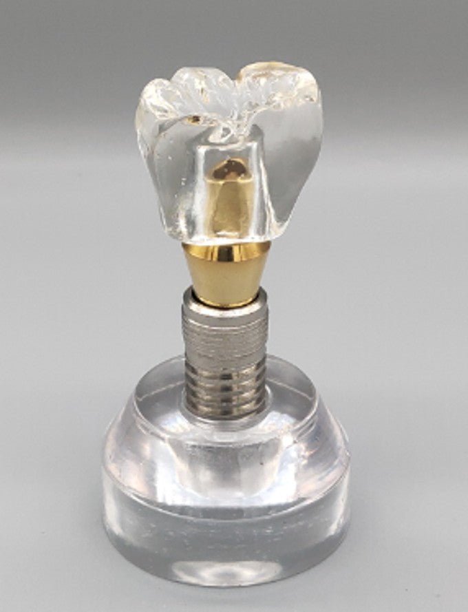 Double Teeth Model (Copy) Double Teeth Model (Copy)
