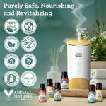 6 Essential Oils Single Notes Set, 10 ML 6 Essential Oils Single Notes Set, 10 ML