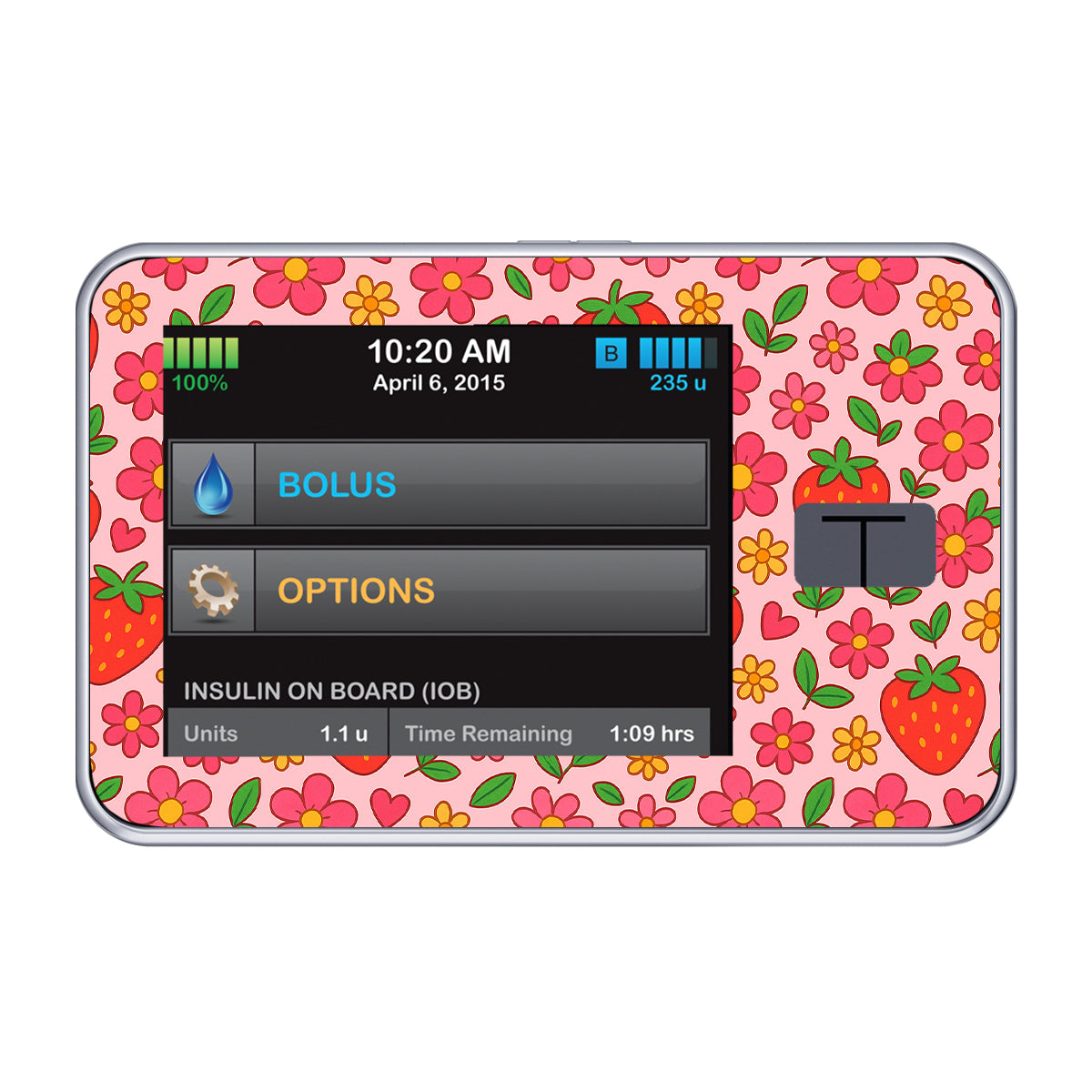 Strawberry Garden Sticker for Tandem t:slim t:slim X2 - Pump Peelz Strawberry Garden Sticker for Tandem t:slim t:slim X2 - Pump Peelz