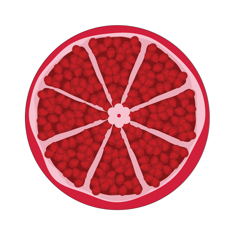 CF Holiday Pomegranate twiist™ Automated Insulin Delivery System Stickers - Pump Peelz CF Holiday Pomegranate twiist™ Automated Insulin Delivery System Stickers - Pump Peelz