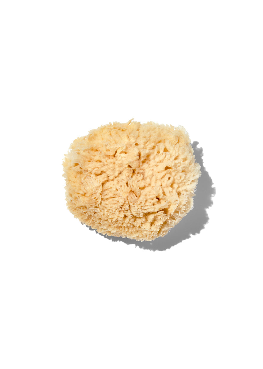 Natural "Wool" 3-4" Sea Sponge Natural "Wool" 3-4" Sea Sponge