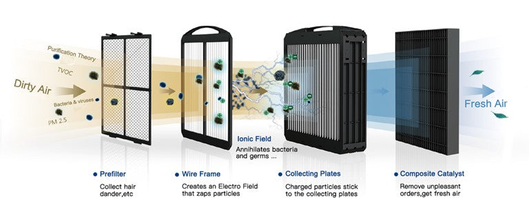Airdog Purifier Medical Office and Home Using Airdog Purifier Medical Office and Home Using