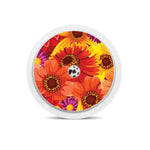 Zinnia Harvest Freestyle Libre 2 Zinnia Harvest Freestyle Libre 2