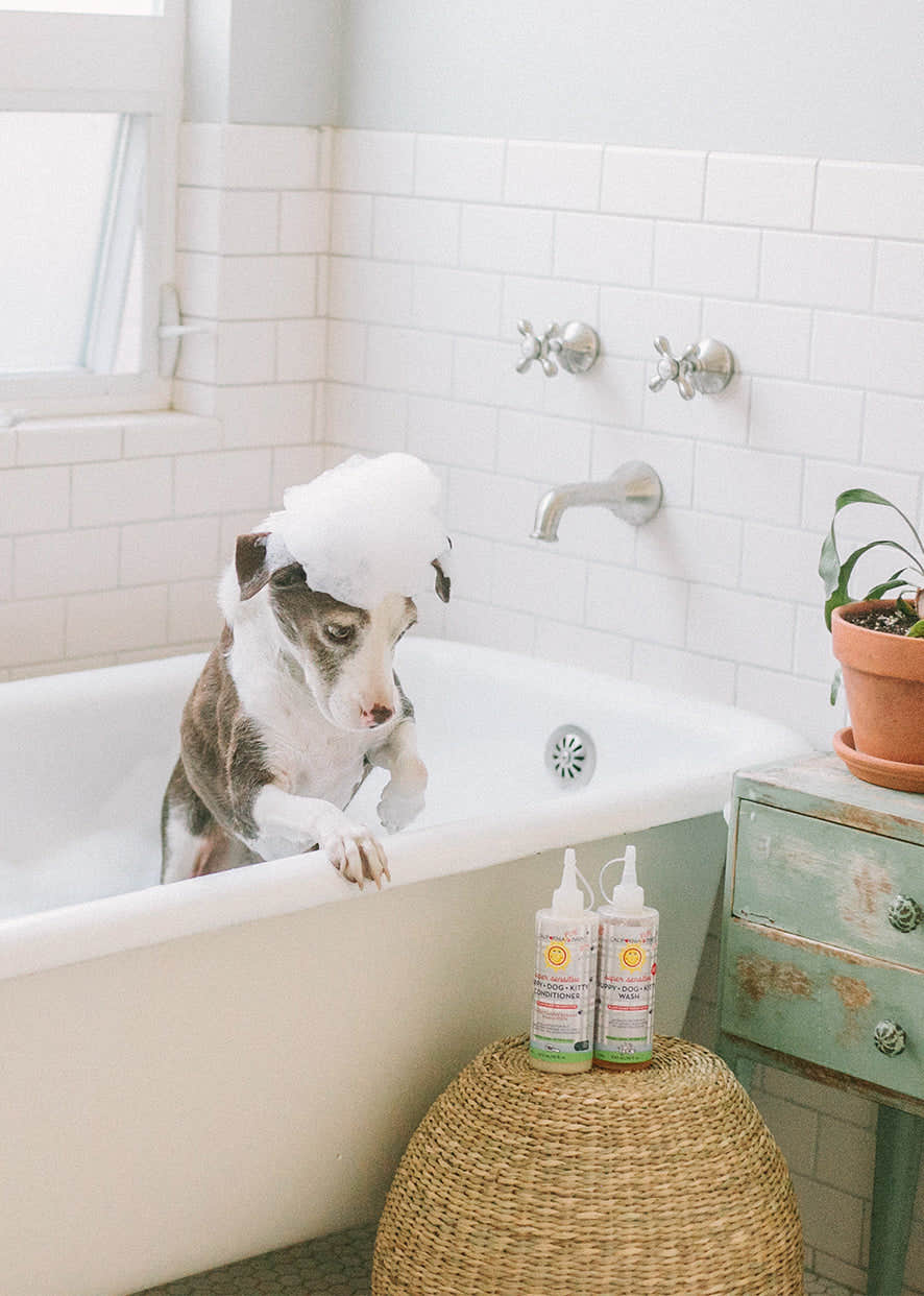 (No Fragrance) Super Sensitiveβ’ Puppy + Dog + Kitty Conditioner (No Fragrance) Super Sensitiveβ’ Puppy + Dog + Kitty Conditioner