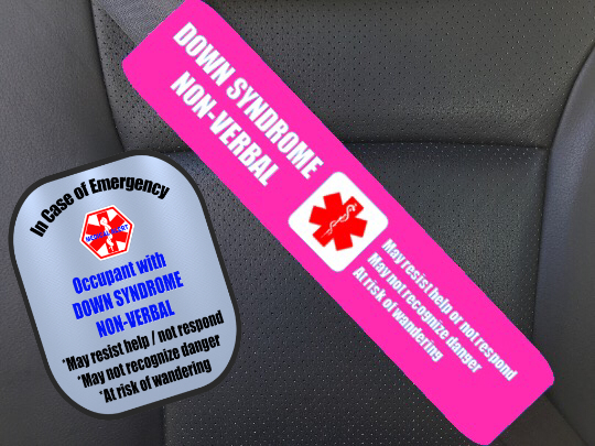 Down Syndrome Non- Verbal Safety Set / Custom Order Down Syndrome Non- Verbal Safety Set / Custom Order