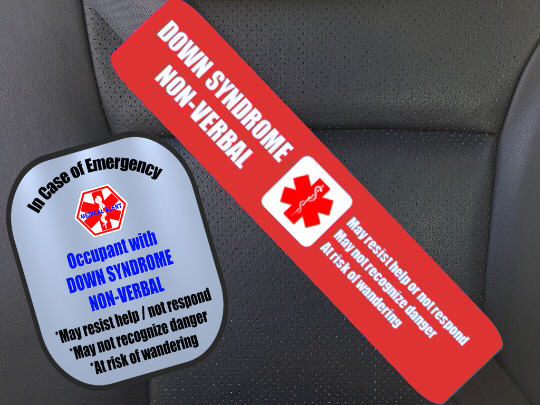 Down Syndrome Non- Verbal Safety Set / Custom Order Down Syndrome Non- Verbal Safety Set / Custom Order