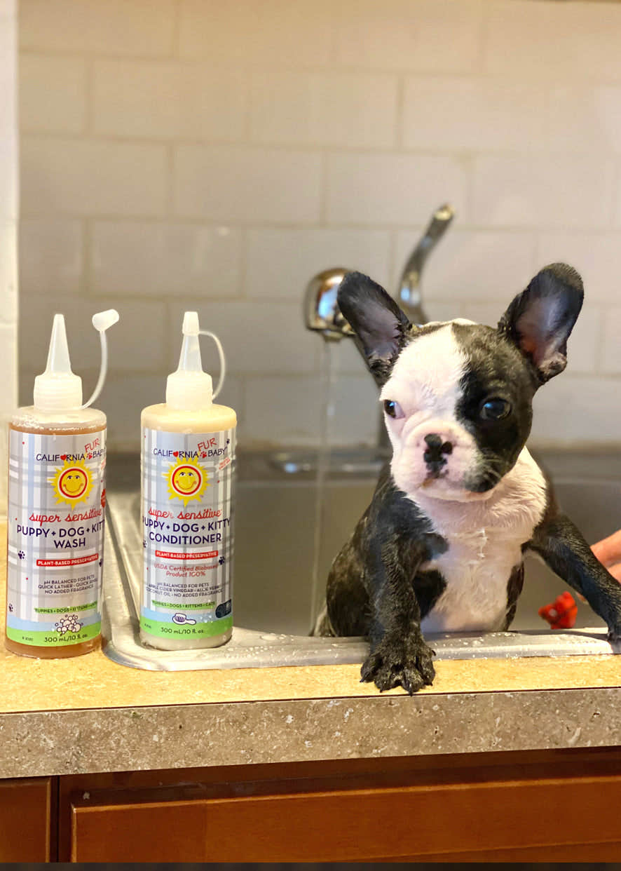 (No Fragrance) Super Sensitive™ Puppy + Dog + Kitty Wash (No Fragrance) Super Sensitive™ Puppy + Dog + Kitty Wash