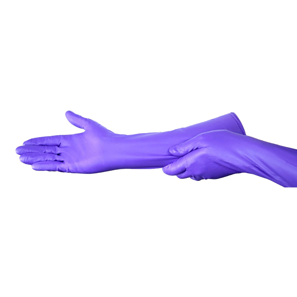 Halyard 400ct Purple Nitrile Max Exam Gloves Non-Sterile Powder-Free 11 Mil, 16" Purple Halyard 400ct Purple Nitrile Max Exam Gloves Non-Sterile Powder-Free 11 Mil, 16" Purple