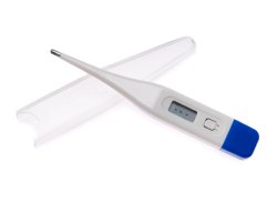 McKesson Digital Oral Thermometer -Box of 12 McKesson Digital Oral Thermometer -Box of 12