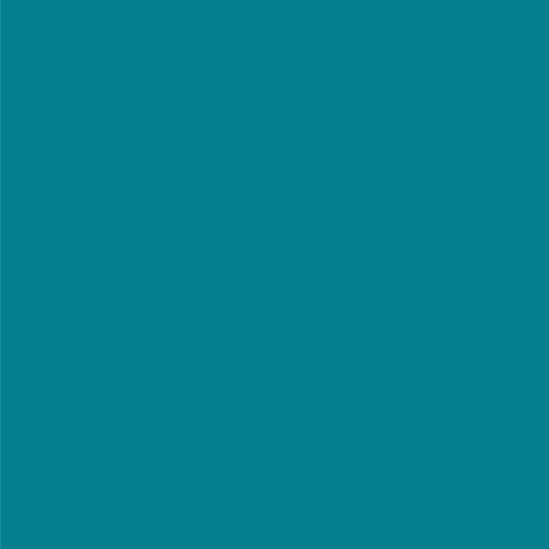 3M Littmann Lightweight II S.E. Classic Stethoscope, Caribbean Blue -Each 3M Littmann Lightweight II S.E. Classic Stethoscope, Caribbean Blue -Each