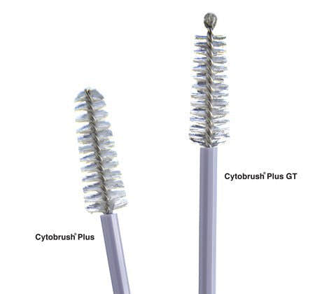 Cytobrush Plus Gt Cytology Brush - 705600_BG - 1 Cytobrush Plus Gt Cytology Brush - 705600_BG - 1