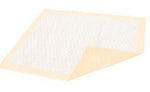 Dignity Ultrashield Plus Underpad, 30 X 36 Inch - 987179_PK - 1 Dignity Ultrashield Plus Underpad, 30 X 36 Inch - 987179_PK - 1