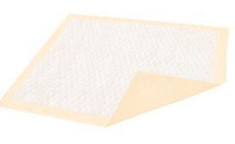 Dignity Ultrashield Plus Underpad - 987179_CS - 1 Dignity Ultrashield Plus Underpad - 987179_CS - 1