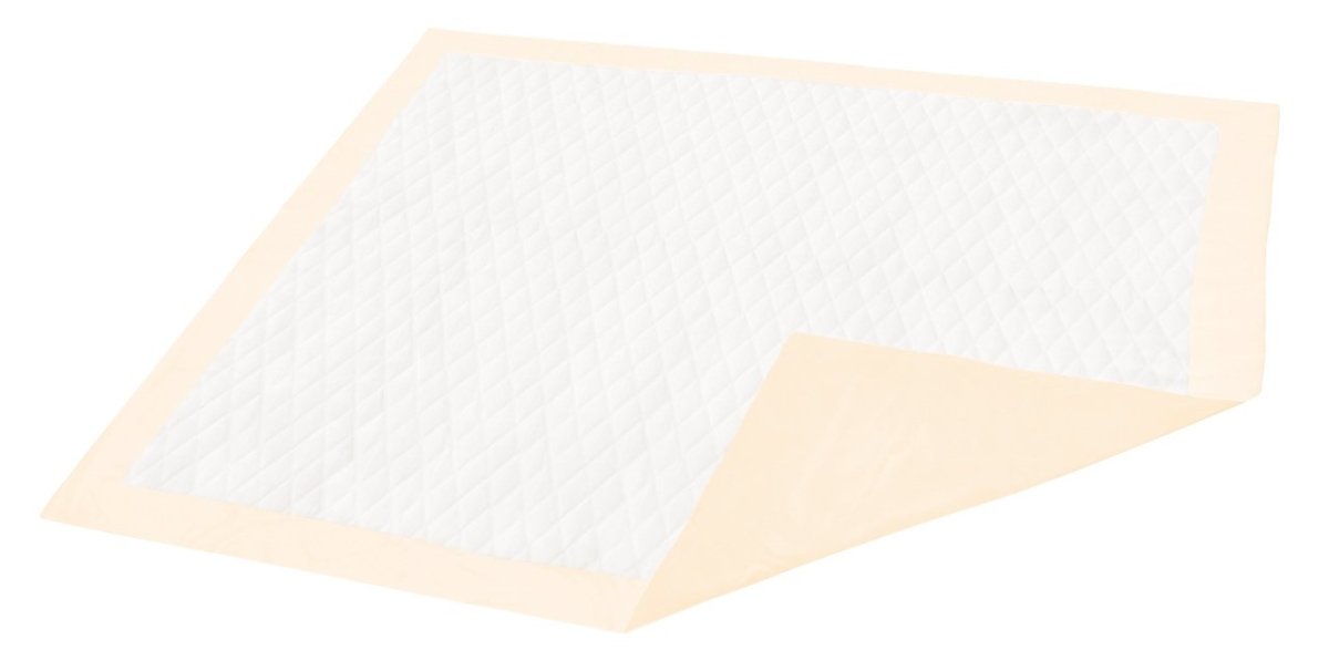 Dignity Ultrashield Premium Superabsorbent Underpad, 30 x 36 Inch - 1145366_CS - 1 Dignity Ultrashield Premium Superabsorbent Underpad, 30 x 36 Inch - 1145366_CS - 1
