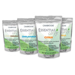 Essential Care Jr Amino Acid Based Pediatric Nutrition Powder - 1190432_EA - 4 Essential Care Jr Amino Acid Based Pediatric Nutrition Powder - 1190432_EA - 4