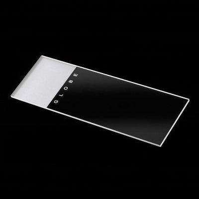 Microscope Slide - 680942_BX - 1 Microscope Slide - 680942_BX - 1