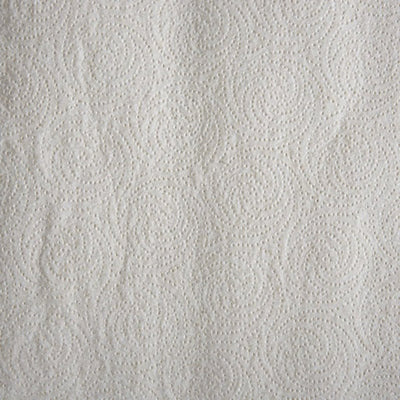 Pacific Blue Basic Kitchen Paper Towel - 379920_RL - 8 Pacific Blue Basic Kitchen Paper Towel - 379920_RL - 8