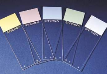 Superfrost Plus Microscope Slide - 486293_GR - 1 Superfrost Plus Microscope Slide - 486293_GR - 1