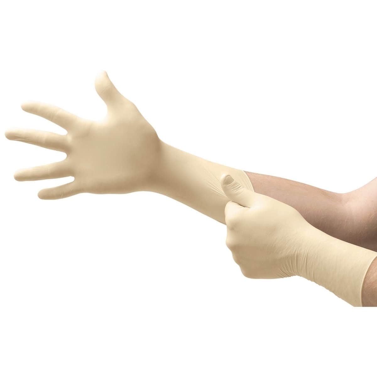 Ultra One Latex Extended Cuff Length Exam Gloves - 306876_BX - 1 Ultra One Latex Extended Cuff Length Exam Gloves - 306876_BX - 1