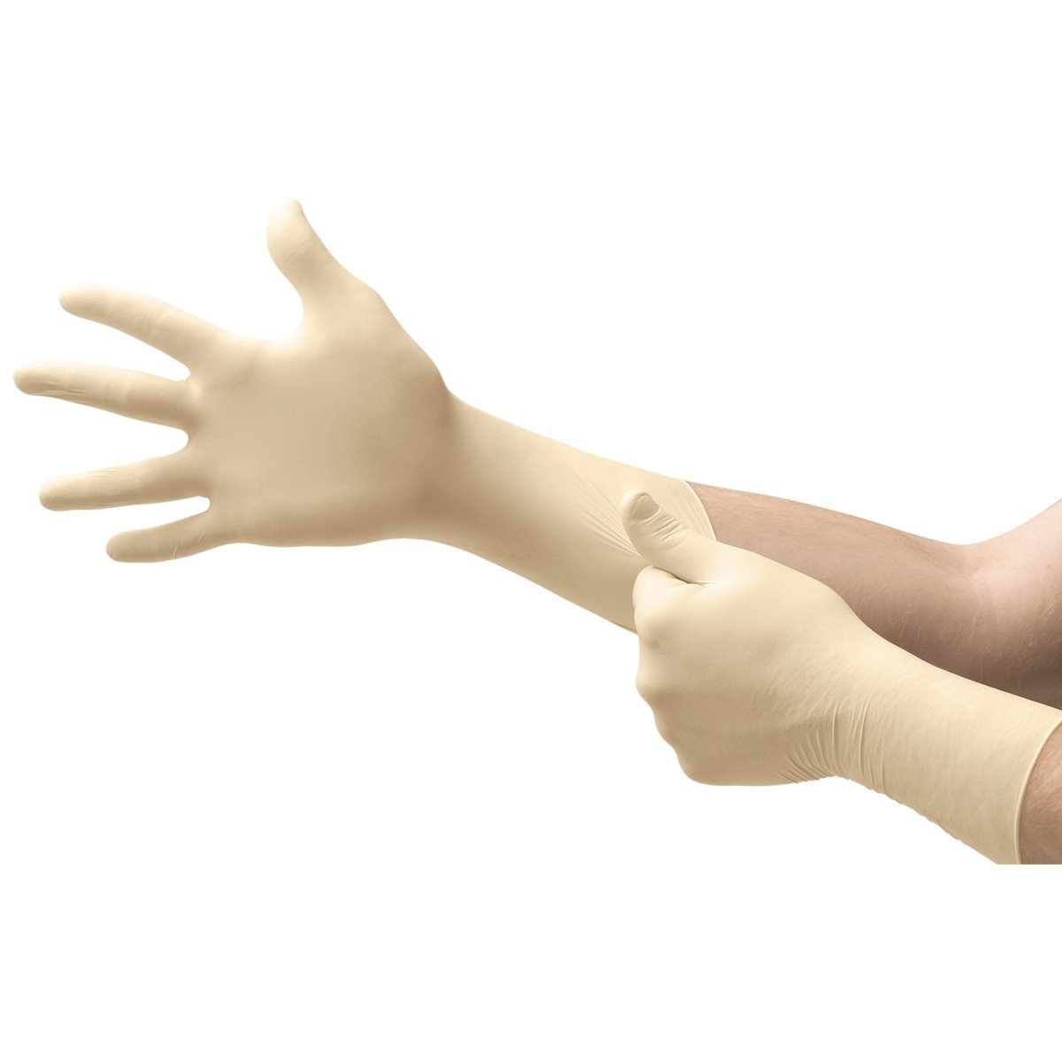 Ultra One Latex Extended Cuff Length Exam Gloves - 306876_BX - 1 Ultra One Latex Extended Cuff Length Exam Gloves - 306876_BX - 1