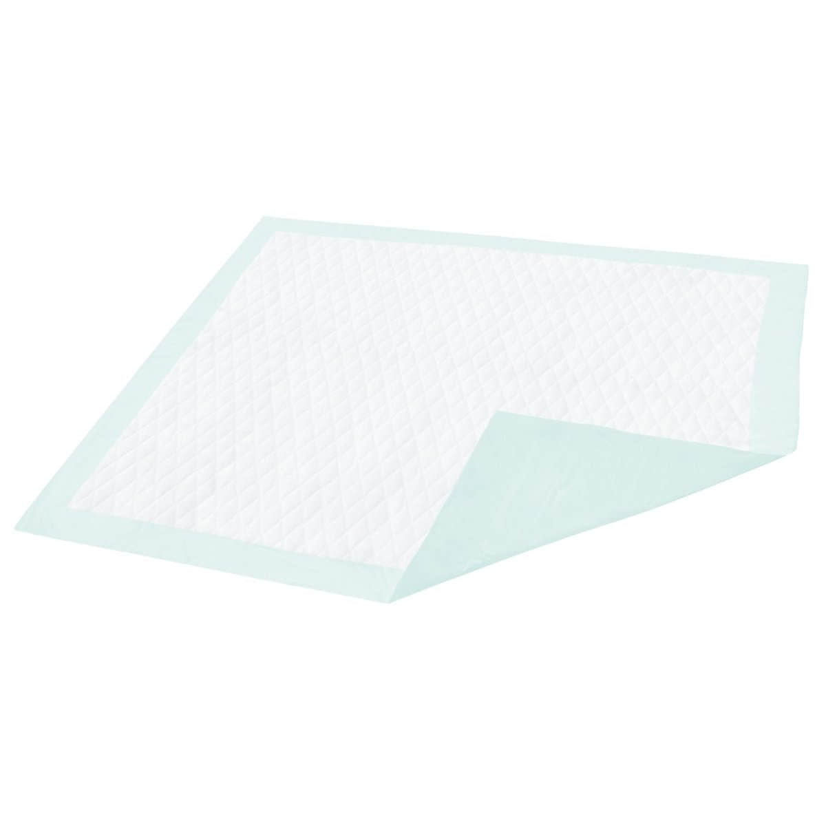 Underpad Dignity 23 X 36 Inch Disposable Fluff / Polymer Light Absorbency - 1191631_CS - 1 Underpad Dignity 23 X 36 Inch Disposable Fluff / Polymer Light Absorbency - 1191631_CS - 1