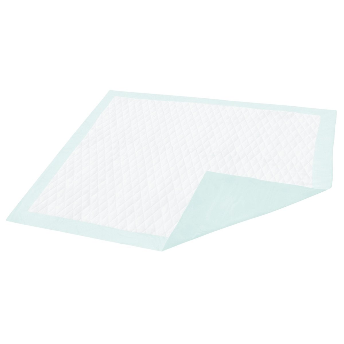 Underpad Dignity 23 X 36 Inch Disposable Fluff / Polymer Light Absorbency - 1191631_CS - 1 Underpad Dignity 23 X 36 Inch Disposable Fluff / Polymer Light Absorbency - 1191631_CS - 1