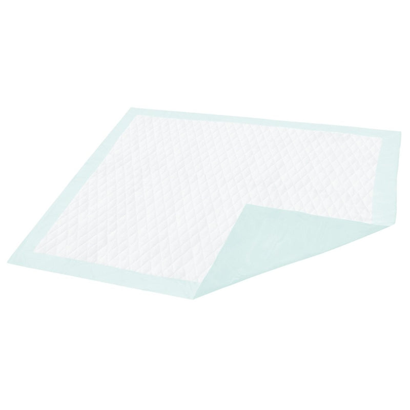 Underpad Dignity 23 X 36 Inch Disposable Fluff / Polymer Light Absorbency - 1191631_CS - 1 Underpad Dignity 23 X 36 Inch Disposable Fluff / Polymer Light Absorbency - 1191631_CS - 1