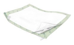 Wings Quilted Premium Strength Maximum Absorbency Positioning Underpad, 23 x 36 Inch - 914765_CS - 1 Wings Quilted Premium Strength Maximum Absorbency Positioning Underpad, 23 x 36 Inch - 914765_CS - 1