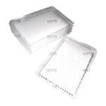 384 PCR Plates