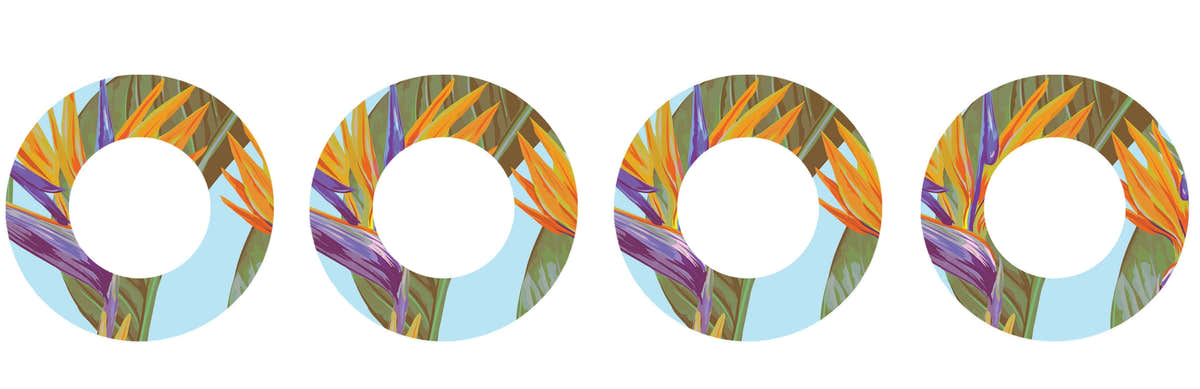 Birds of Paradise Patch  Tape Designed for the FreeStyle Libre 2