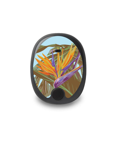 Birds of Paradise for the Eversense Smart Transmitter