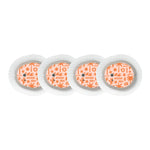 Terracotta Tides Dexcom G7 and Stelo Transmitter Sticker - Pump Peelz
