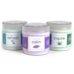 Wipex® Studio Smokeless Natural Odor Eliminator for Yoga & Wellness Spaces