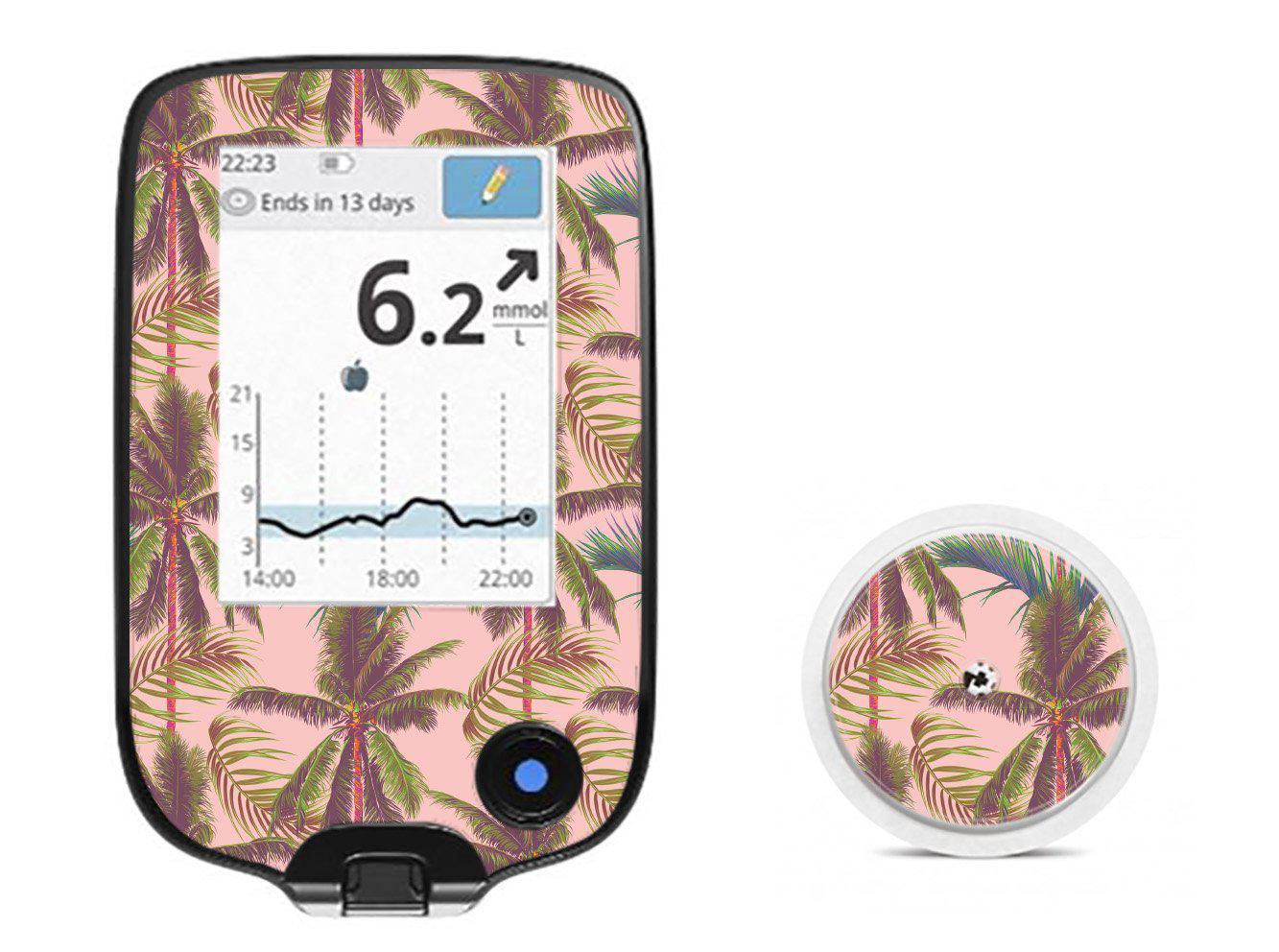 Wish You Were Here for Freestyle Libre 2