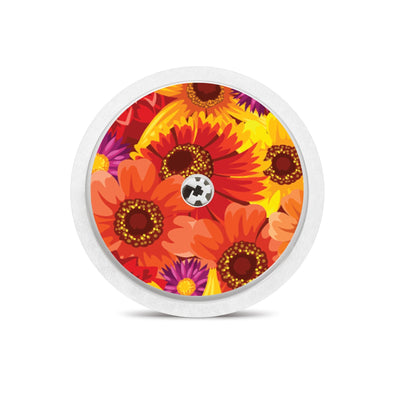 Zinnia Harvest Freestyle Libre 2