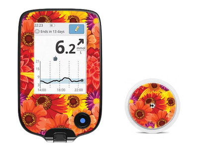 Zinnia Harvest Freestyle Libre 2