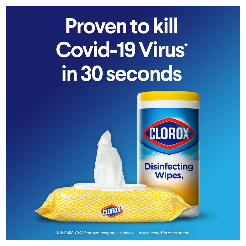 Clorox Surface Disinfectant Wipes, Small Canister -Case of 12
