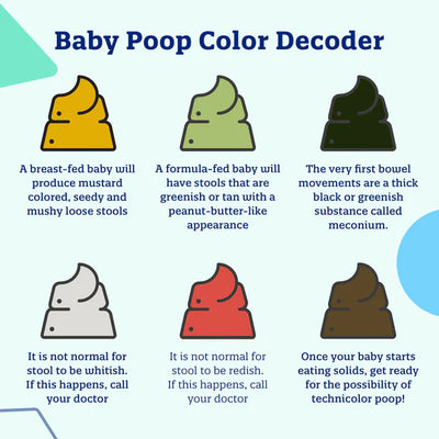 Enfamil Reguline Powder Infant Formula Tub Baby Poop Color Decoder