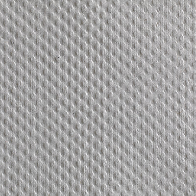 Pacific Blue Basic Paper Towel, 240 per Pack, 10 Packs per Case -Case of 2400